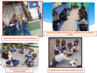 Procurando pelos animais que são domésticos
Depois de uma leitura “O gato azul”- registramos com um desenho
coletivo
Conhecendo os brinquedos
trazidos de casa
Compartilhando os animais domésticos de casa.
 