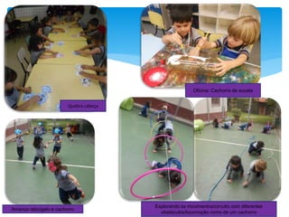 Quebra cabeça
Oficina: Cachorro de sucata
Explorando os movimentos/circuito com diferentes
obstáculos/locomoção como de um cachorro
Arranca rabo/gato e cachorro
 