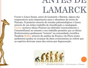 ANTES DE
                          LAMARCK
Cuvier e Lineu foram, antes de Lamarck e Darwin, alguns dos
responsáveis mais importantes para o abandono da teoria do
Fixismo. O primeiro através de estudos paleontológicos e Lineu
através de um árduo trabalho de classificação e catalogação.
Cuvier aceitava ideias Fixistas (ao defender essencialmente o
Catastrofismo) no entanto o seu trabalho permitiu que as ideias
Evolucionistas ganhassem “terreno” na comunidade cientifica.
Também Buffon através da análise da Fauna e da Flora (como
jardineiro) ajudou no avançar da ideia evolucionista ao referir que
as espécies derivam umas das outras por degeneração.




                               Mecanismos de Evolução – Evolucionismo vs. Fixismo
 
