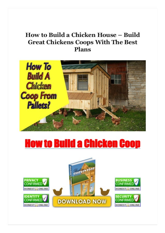 How To Build A Chicken Run Cheap