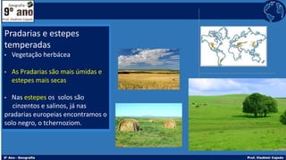 Pradarias e estepes
temperadas
• Vegetação herbácea
• As Pradarias são mais úmidas e
estepes mais secas
• Nas estepes os solos são
cinzentos e salinos, já nas
pradarias europeias encontramos o
solo negro, o tchernoziom.
 