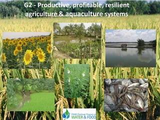 G2 - Productive, profitable, resilient
agriculture & aquaculture systems

1

 