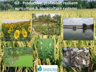 G2 - Productive, profitable, resilient
agriculture & aquaculture systems
1
 