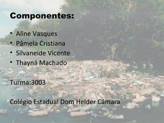 Componentes:

•   Aline Vasques
•   Pâmela Cristiana
•   Silvaneide Vicente
•   Thayná Machado

Turma:3003

Colégio Estadual Dom Helder Câmara
 