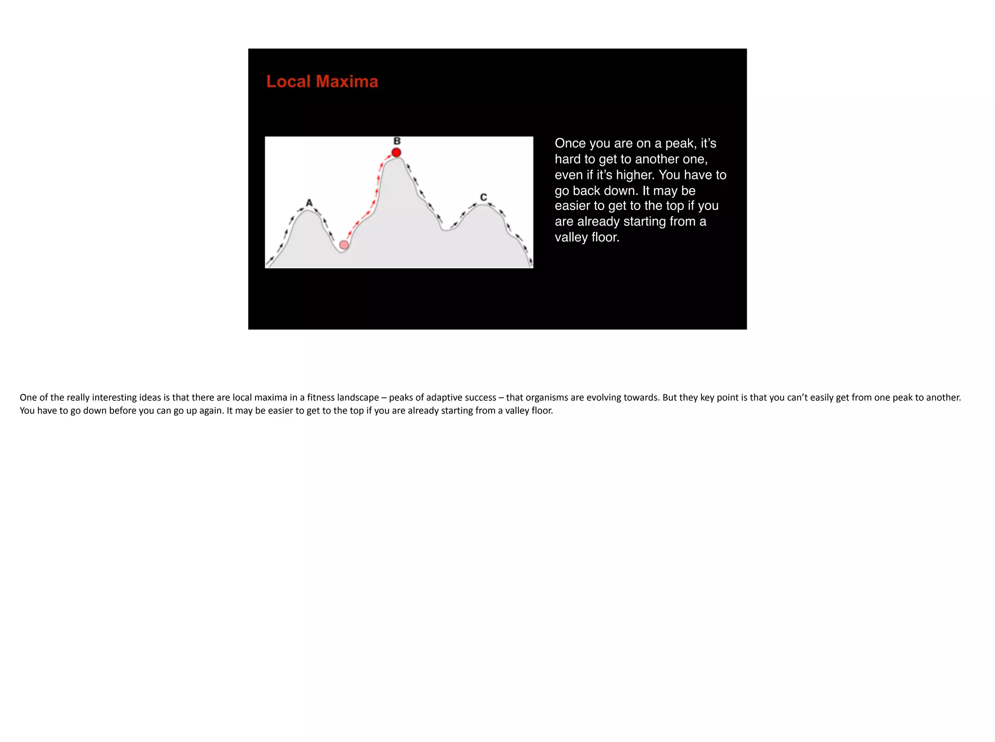 Local Maxima
Once you are on a peak, it’s
hard to get to another one,
even if it’s higher. You have to
go back down. It may be
easier to get to the top if you
are already starting from a
valley floor.
One	of	the	really	interesting	ideas	is	that	there	are	local	maxima	in	a	fitness	landscape	–	peaks	of	adaptive	success	–	that	organisms	are	evolving	towards.	But	they	key	point	is	that	you	can’t	easily	get	from	one	peak	to	another.	
You	have	to	go	down	before	you	can	go	up	again.	It	may	be	easier	to	get	to	the	top	if	you	are	already	starting	from	a	valley	floor.
 