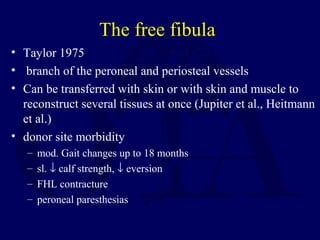 The free fibula
• Taylor 1975
• branch of the peroneal and periosteal vessels
• Can be transferred with skin or with skin and muscle to
reconstruct several tissues at once (Jupiter et al., Heitmann
et al.)
• donor site morbidity
– mod. Gait changes up to 18 months
– sl. ↓ calf strength, ↓ eversion
– FHL contracture
– peroneal paresthesias
 