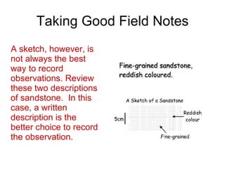 Field Notes | PPT