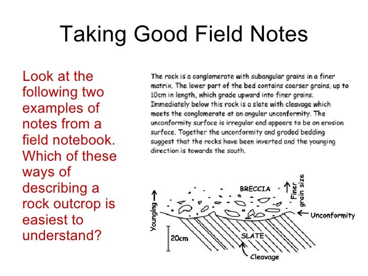 Field Notes