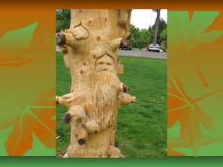 Sculptures arbres a abattre