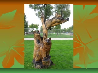 Sculptures arbres a abattre