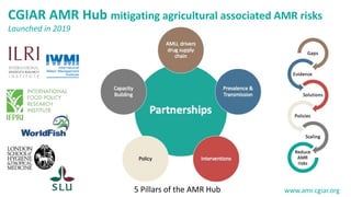 Addressing antimicrobial resistance in developing countries: A balancing act