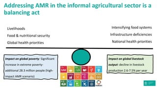 Addressing antimicrobial resistance in developing countries: A balancing act