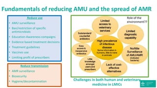 Addressing antimicrobial resistance in developing countries: A balancing act