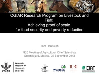 CGIAR Research Program on Livestock and
                    Fish:
         Achieving proof of scale
  for food security and poverty reduction


                    Tom Randolph

      G20 Meeting of Agricultural Chief Scientists
       Guadalajara, Mexico, 25 September 2012
 