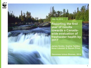 ©GregStott/WWF-Canada
Reporting the first
year of results
towards a Canada-
wide evaluation of
freshwater health by
2017
Genomes to/aux Biomes, 2014
1
James Snider, Sophie Taddeo,
Anna Labetski & Steven Price
May 28, 2014
 