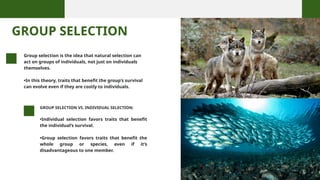 G2 Behavioral-Ecology_20251022_184836_0000.pptx