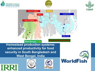  
	
  	
  
Homestead production systems:
enhanced productivity for food
security in South Bangladesh and
West Bengal, India
 