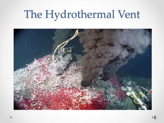 The Hydrothermal Vent
8
 