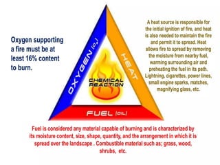 Understanding the Fire Triangle: Causes, Prevention, and Safety ...