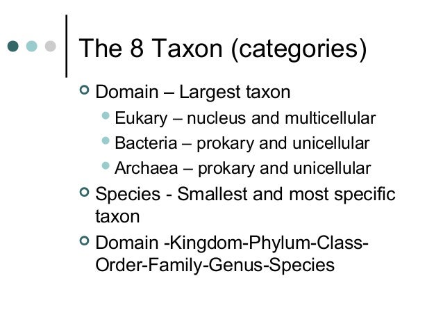 Classification notes2