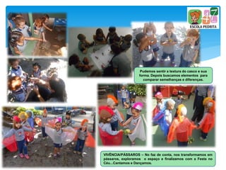 Pudemos sentir a textura do casco e sua
forma. Depois buscamos elementos para
comparar semelhanças e diferenças.
VIVÊNCIA/PÁSSAROS – No faz de conta, nos transformamos em
pássaros, exploramos o espaço e finalizamos com a Festa no
Céu...Cantamos e Dançamos.
 