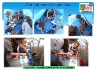 Contato com as coelhas
Atividade: Decoração para fábrica de chocolate
 