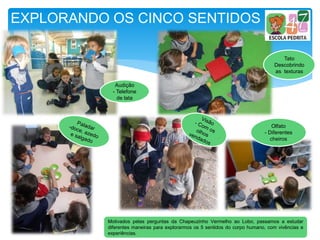 EXPLORANDO OS CINCO SENTIDOS
Audição
- Telefone
de lata
Tato
Descobrindo
as texturas
Olfato
- Diferentes
cheiros
Motivados pelas perguntas da Chapeuzinho Vermelho ao Lobo, passamos a estudar
diferentes maneiras para explorarmos os 5 sentidos do corpo humano, com vivências e
experiências.
 