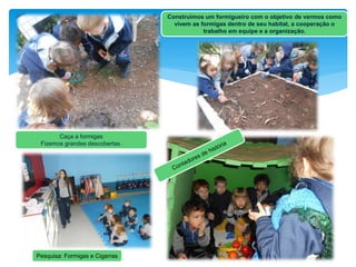 Construímos um formigueiro com o objetivo de vermos como
vivem as formigas dentro de seu habitat, a cooperação o
trabalho em equipe e a organização.
Caça a formigas
Fizemos grandes descobertas.
Pesquisa: Formigas e Cigarras
 