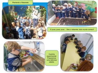 Plantando o Rabanete
E puxa, puxa, puxa.....Saiu o rabanete, todo mundo comeu!!
Cozinha
experimental:
Preparamos
uma deliciosa
salada.
 