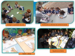 Contagem e quantidade dos ovos.
Sequência da História
Quebra - cabeça
Conhecendo os alimentos dos animais da escola
 