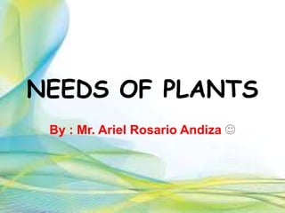 NEEDS OF PLANTS
By : Mr. Ariel Rosario Andiza 
 