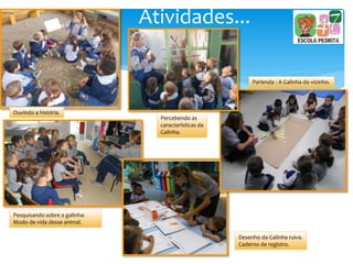 Atividades...
Ouvindo a história.
Percebendo as
características da
Galinha.
Parlenda : A Galinha do vizinho.
Desenho da Galinha ruiva.
Caderno de registro.
Pesquisando sobre a galinha:
Modo de vida desse animal.
 