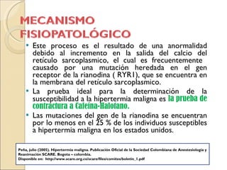 Este proceso es el resultado de una anormalidad debido al incremento en la salida del calcio del retículo sarcoplasmico, el cual es frecuentemente  causado por una mutación heredada en el gen receptor de la rianodina ( RYR1), que se encuentra en la membrana del retículo sarcoplasmico. La prueba ideal para la determinación de la susceptibilidad a la hipertermia maligna es  la prueba de contractura a Cafeína-Halotano.  Las mutaciones del gen de la rianodina se encuentran por lo menos en el 25 % de los individuos susceptibles a hipertermia maligna en los estados unidos. Peña, julio (2005). Hipertermia maligna. Publicación Oficial de la Sociedad Colombiana de Anestesiología y Reanimación SCARE. Bogota – colombia. Disponible en:  http://www.scare.org.co/scare/files/comites/boletin_1.pdf 