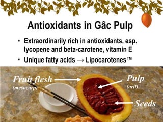Antioxidants in Gâc Pulp
  • Extraordinarily rich in antioxidants, esp.
    lycopene and beta-carotene, vitamin E
  • Unique fatty acids → Lipocarotenes™

Fruit flesh                               Pulp
(mesocarp)                                (aril)


                                              Seeds
 