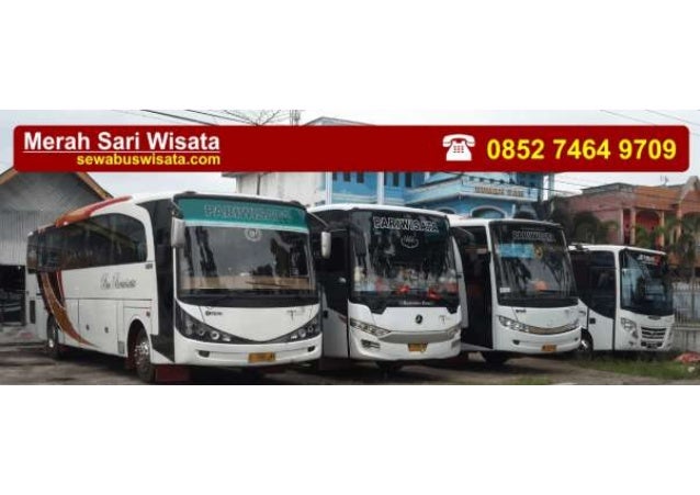 Merah Membara: Mengungkap Pesona dan Keajaiban Bus Pariwisata Merah