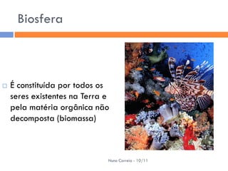 Biosfera



   É constituída por todos os
    seres existentes na Terra e
    pela matéria orgânica não
    decomposta (biomassa)



                              Nuno Correia - 10/11
 