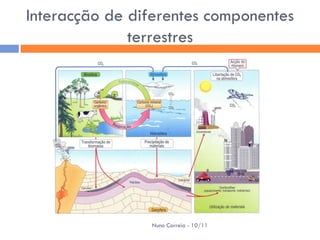 Interacção de diferentes componentes
              terrestres




                Nuno Correia - 10/11
 