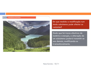 Em que medida a modificação num
            dado subsistema pode afectar os
            restantes?

            Dado que há trocas efectivas de
            matéria e energia, a alteração de
            um subsistema poderá transmitir-se
            aos demais, modificando-os
            irremediavelmente.




Nuno Correia - 10/11
 