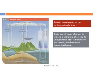 Preveja as consequências da
            contaminação da água .


            Dado que há trocas efectivas de
            matéria e energia, a alteração de
            um subsistema poderá transmitir-se
            aos demais, modificando-os
            irremediavelmente.




Nuno Correia - 10/11
 