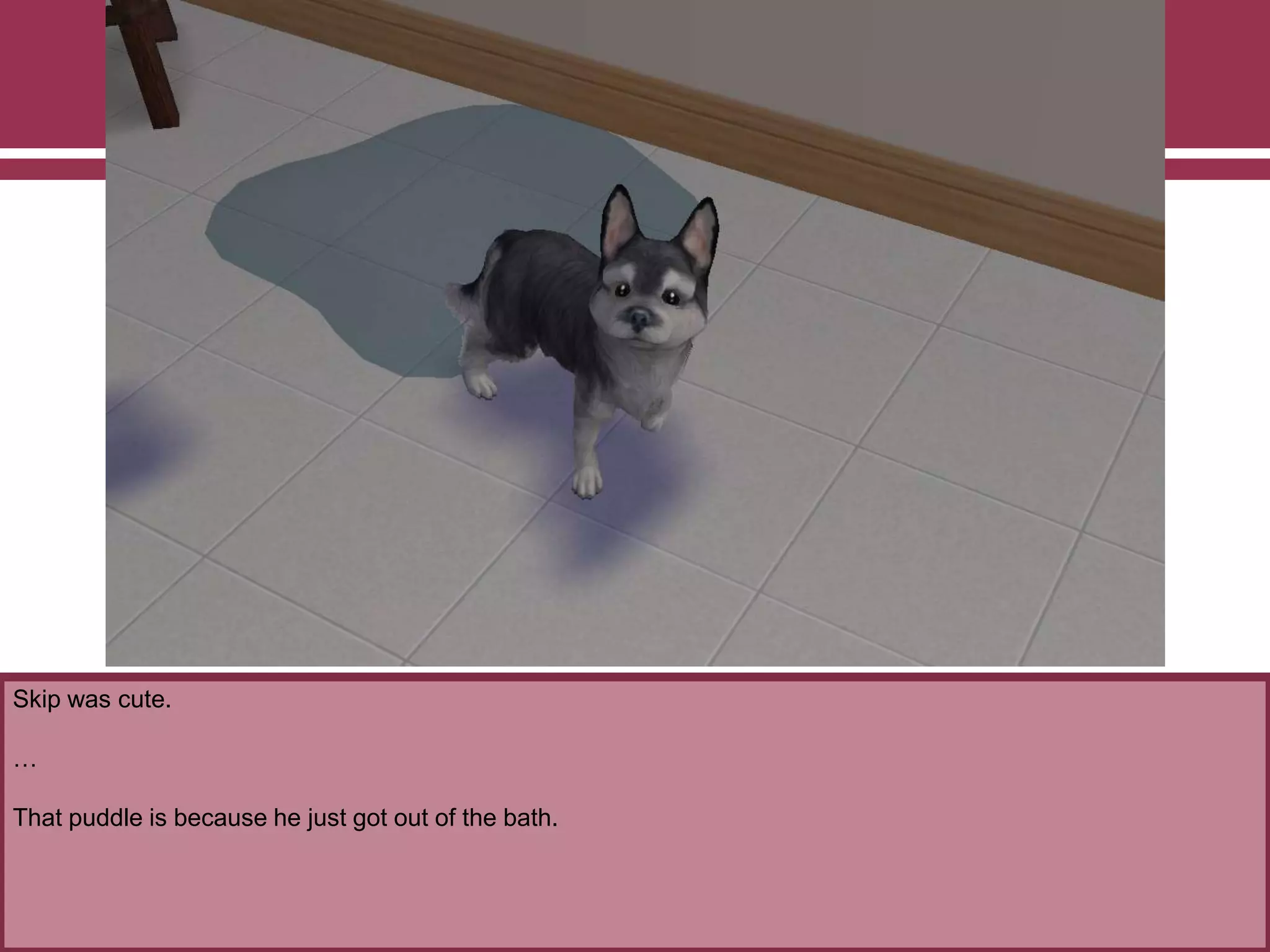 Skip was cute.
…
That puddle is because he just got out of the bath.
 