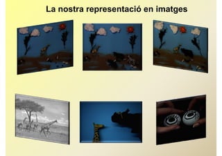 La nostra representació en imatges
 