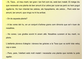 - Ai, Taca... el meu marit, tan gran i tan fort com és, està ben malalt. El metge diu
q
que necessita una planta de ben amunt d’un arbre per curar-se però no hem pogut
                  p                              p            p           p g
agafar-la. Ho han intentat les zebres, els hipopòtams, els zebús... Però està tan
amunt,
amunt tan amunt que ningú no hi ha arribat
          amunt,                   arribat.


- On és aquesta planta?
         q      p


- A les vores del riu, en un conjunt d’arbres grans com dimonis que se’n riuen de
nosaltres.


- Ho conec. Les girafes sovint hi anem allà. Nosaltres curarem el teu marit, no
ploris.


L’elefanta plorava d’alegria i donava les gràcies a la Taca que va sortir tota veloç
cap a casa.


- P
  Pare, pare, l’ l f t està molt malalt i necessita una planta que només t pots
              l’elefant tà    lt   l lt         it       l t          é tu   t
agafar.
 