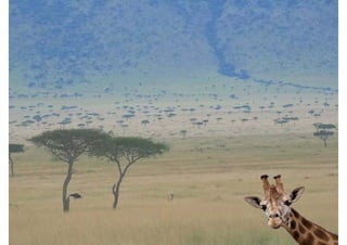 G3 plantilla representacio [modalitat compatibilitat]