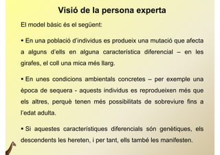Visió de la persona experta
El model bàsic és el següent:

 En una població d’individus es produeix una mutació que afecta
a alguns d’ells en alguna característica diferencial – en les
         d ells
girafes, el coll una mica més llarg.

 En unes condicions ambientals concretes – per exemple una
època de sequera - aquests individus es reprodueixen més que
els altres, perquè tenen més possibilitats de sobreviure fins a
l’edat adulta.

 Si aquestes característiques diferencials són genètiques, els
descendents l h t
d     d t les hereten, i per t t ells t bé l manifesten.
                             tant, ll també les if t
 