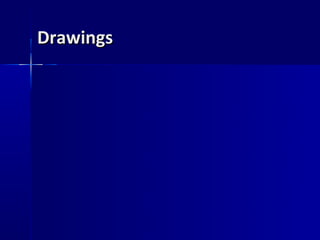 Drawings
 