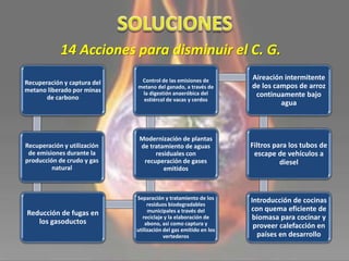 14 Acciones para disminuir el C. G.
Recuperación y captura del
metano liberado por minas
de carbono
Recuperación y utilización
de emisiones durante la
producción de crudo y gas
natural
Reducción de fugas en
los gasoductos
Separación y tratamiento de los
residuos biodegradables
municipales a través del
reciclaje y la elaboración de
abono, así como captura y
utilización del gas emitido en los
vertederos
Modernización de plantas
de tratamiento de aguas
residuales con
recuperación de gases
emitidos
Control de las emisiones de
metano del ganado, a través de
la digestión anaeróbica del
estiércol de vacas y cerdos
Aireación intermitente
de los campos de arroz
continuamente bajo
agua
Filtros para los tubos de
escape de vehículos a
diesel
Introducción de cocinas
con quema eficiente de
biomasa para cocinar y
proveer calefacción en
países en desarrollo
 