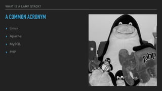 WHAT IS A LAMP STACK?
A COMMON ACRONYM
▸ Linux
▸ Apache
▸ MySQL
▸ PHP
 