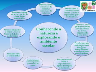 Conhecendo a
natureza e
explorando o
ambiente
escolar
Diferença entre
construção do
homem x
construção da
natureza
Observamos as
árvores da nossa
escola, tamanho,
espessura e quais
era frutíferas.
Tivemos o nosso
primeiro contato
com a natureza
na escola,
organizando
nossa horta
Percebemos que
algumas árvores
dão frutos
maravilhosos e
experimentamos
suco de goiaba.
Roda de conversa
sobre a
importância da
água e do sol para
a plantação.
Confeccionamos
uma composteira
para a horta da
escola
Cuidados com
as sementinhas
Antes de plantamos
o feijão, Lemos a
história do João e o
pé de Feijão
Fomos no tanque
de areia e no faz de
conta, fomos
sementinha.
 