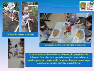 Colhendo raízes na horta
Conhecemos os benefícios da batata, do gengibre e do
inhame. Descobrimos que o inhame faz muito bem a
saúde e pode ser consumido de várias formas, como sopa,
cozido ou em suco que fica uma delicia.
Colagem de areia e pintura de raízes.
 