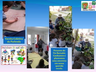 Escrita Coletiva
da Parlenda
Presente do
Tio Barnabé,
Ganhamos e
plantamos
uma amoreira
em nossa
querida
escola.
 